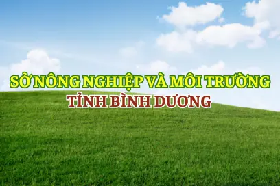 Sở TN & MT Bình Dương